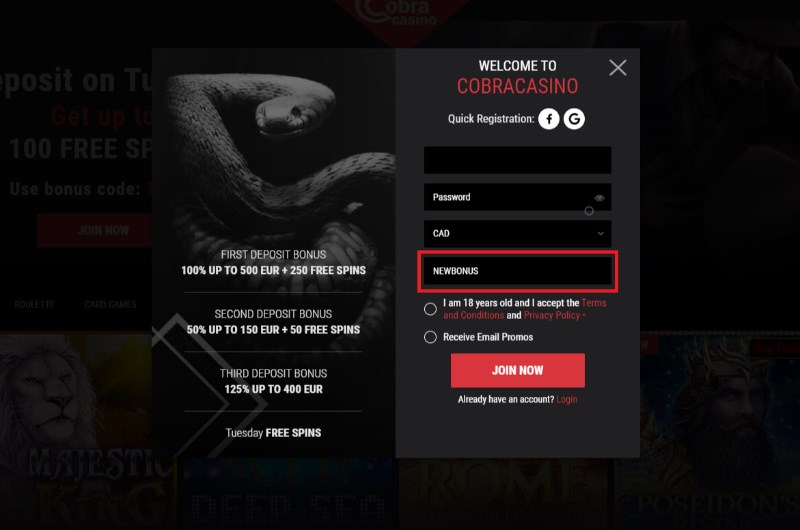 Harbors Online and The brand new No-deposit Host